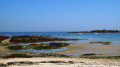 Entre Barfleur et le phare de Gatteville