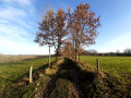 De Faugère à Montignac-Lascaux