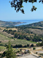 Entre Vigne et mer