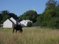 Entre ville et campagne