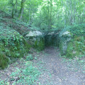 Grand Nancy - La Forêt Domaniale de Haye