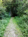 Entrée du tunnel du Tram