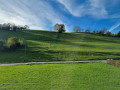 Environnement très champêtre