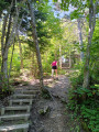 Escalier dans les bois