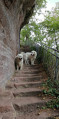 Escaliers taillés dans la roche