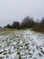 Green space