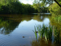 Etang à Kermouzouët