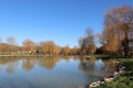 Etang à la Planche Baron près de Villentrois