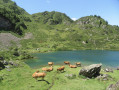 Etang d'Ayès