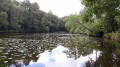 Forêt de l'Absie et Bois des Gâts