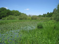 Etang de la galoperie