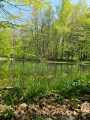 Sentier des deux étangs depuis Termes
