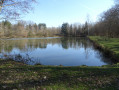 Etang de la Perche