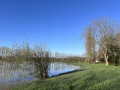 Etang de Thouarsais