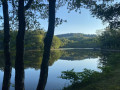 Etang des Vernois à l'été