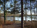 Etang du bois de l'Ilon