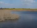 Étang littoral