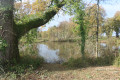 Etang près du Château de la Gorce