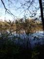 Etang sur le Chemin des Cochons