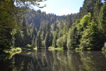 La Bresse par le Lac des Corbeaux et l'Étang de Sèchemer