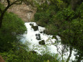 Exsurgence de la Sorgue