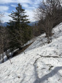 La Pinéa depuis Quaix-en-Chartreuse