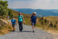 Sentier gourmand du Belchensteig (le plus beau sentier de randonnée d'Allemagne en 2020)