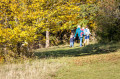 HOCHGEHBERGE-Tour "hochgehhütet" - Sentier de randonnée premium au Beutenlay