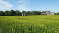 Ferme de Noisement