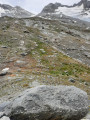 Fin de la moraine de montée aux sources inférieures de l 'arc.