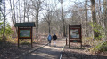 Forêt de Roumare autour de Montigny