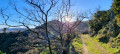 Vallon d'Ardennes et la Tour d'Arras à Arras-sur-Rhône