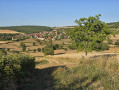 Saules - Rimont - Saules