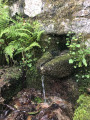 Fontaine de Ciamburanesi