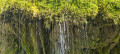 Fontaine petrifiante couverte de mousse