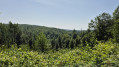 Campingroute Eisenach forest walk