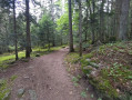 Forêt de Montchanis