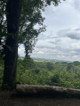 Forêt de Montmorency