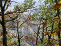 La Forêt des Écrivains Combattants au départ du Col de Madale