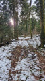 Boucle dans la forêt de Sérémond au-dessus de Virieu-le-Grand