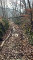 À Ampuis entre Rhône, vignes et forêts