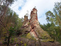 Boucle des châteaux et rochers à partir d'Obersteinbach