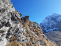 Tour de la Montagne de Méribel au départ de Plan Fournier