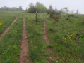 Garrigue et départ de sentier