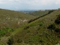 garrigue