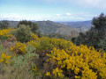 Sur le sentier balcon de la Cougoulère