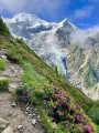 Glacier de Taconnaz