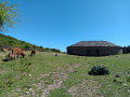 Boucle Patrimonio - Pigno - Bocca di San Leonardo