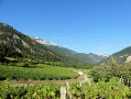 Petit tour sur les chemins des Vignobles de Châtillon-en-Diois