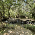 Les Gorges de la Buèges